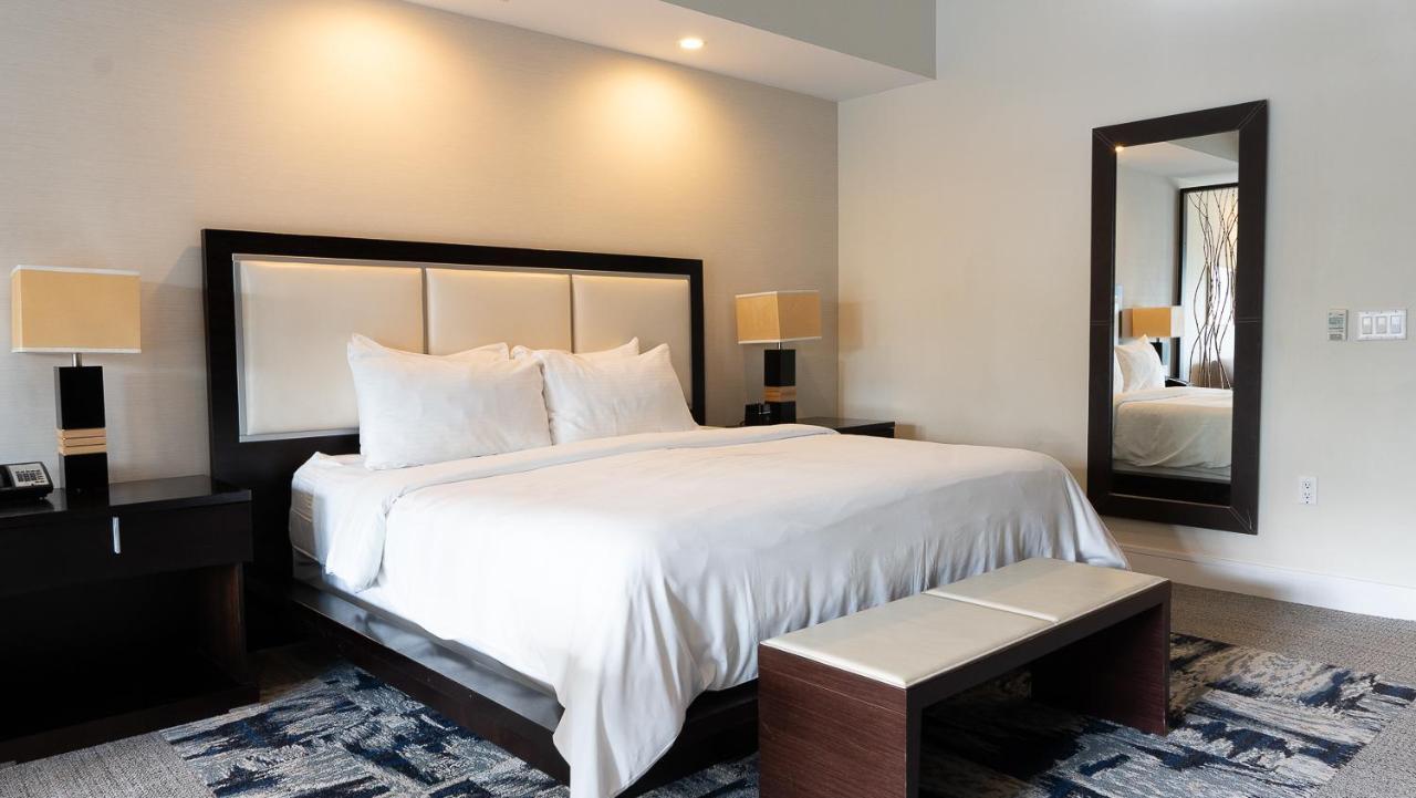 Modern Private Studio - King Bed, Jacuzzi, Balcony And Pool Miami Exterior foto
